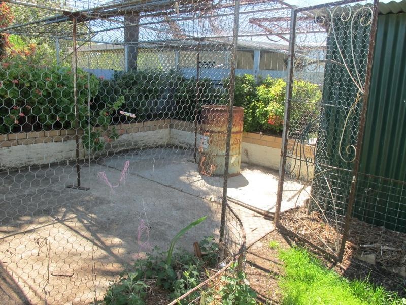 19 Riddell Street, Bingara NSW 2404