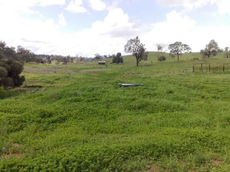 370 Burnima Road, Bingara NSW 2404