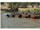 6320 Keera Road, Bingara NSW 2404