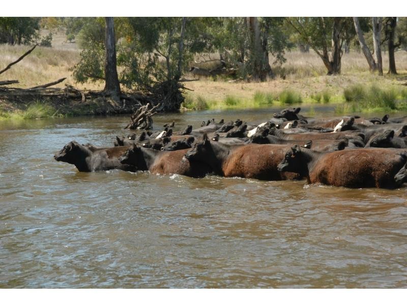 6320 Keera Road, Bingara NSW 2404