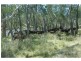 6320 Keera Road, Bingara NSW 2404