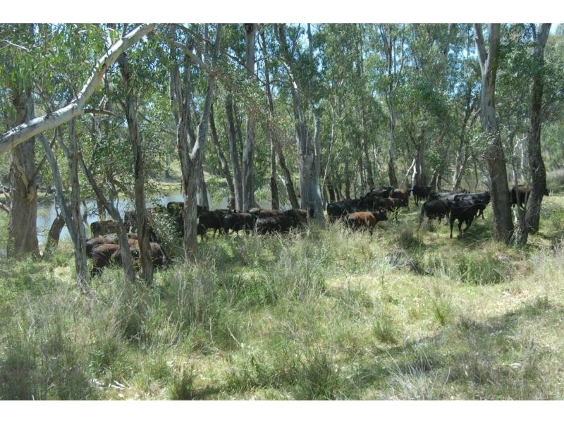 6320 Keera Road, Bingara NSW 2404