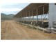 6320 Keera Road, Bingara NSW 2404