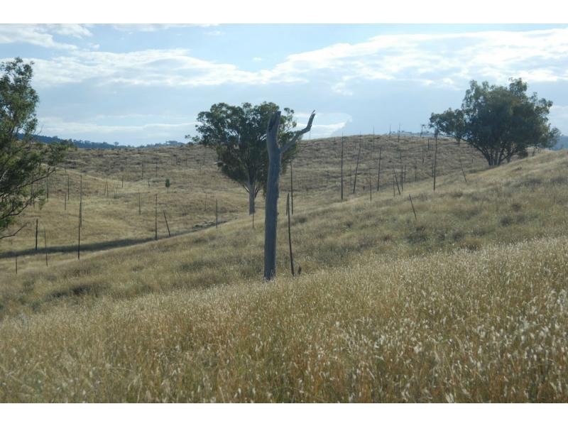 6320 Keera Road, Bingara NSW 2404