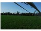 6320 Keera Road, Bingara NSW 2404