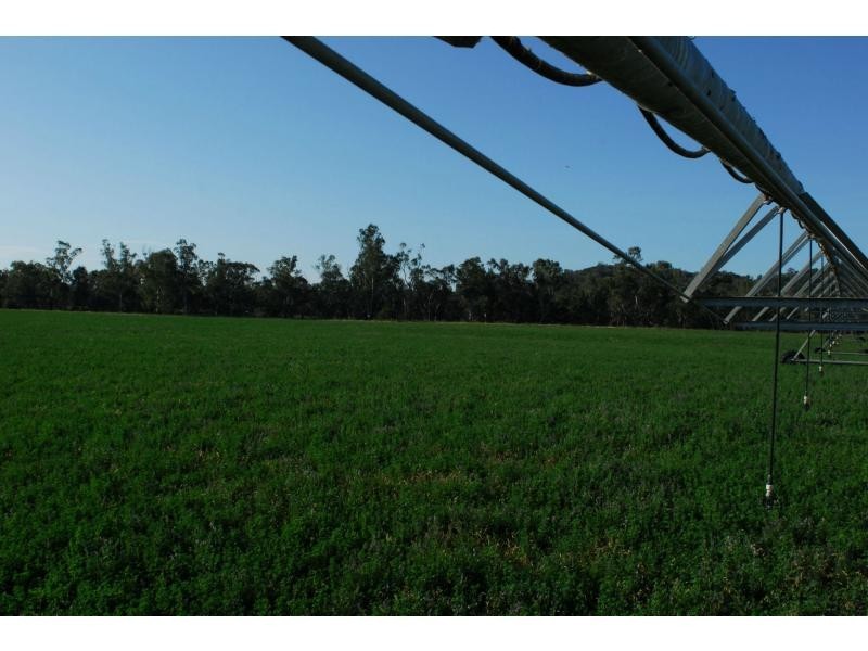 6320 Keera Road, Bingara NSW 2404