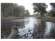 6320 Keera Road, Bingara NSW 2404