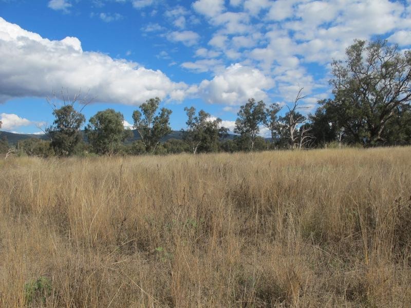 2-4 Salter Street, Bingara NSW 2404