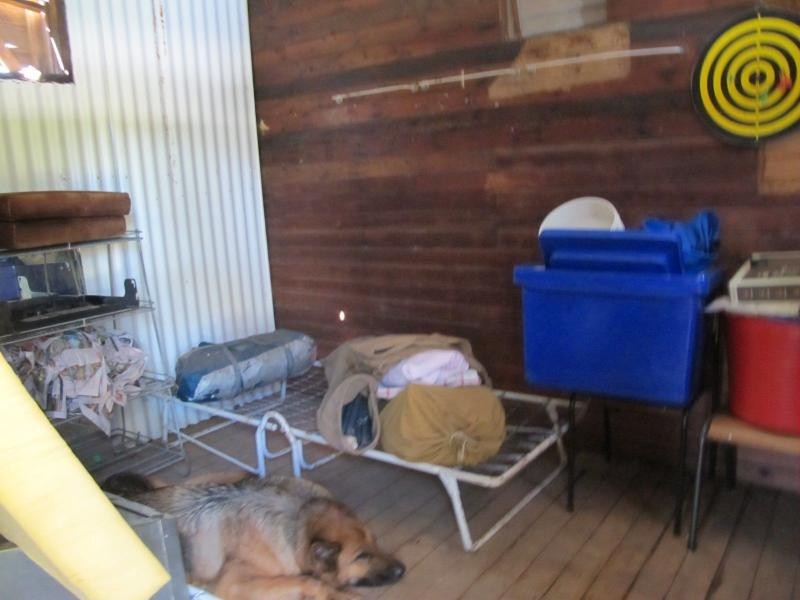 111 Lucky Starr, Bingara NSW 2404