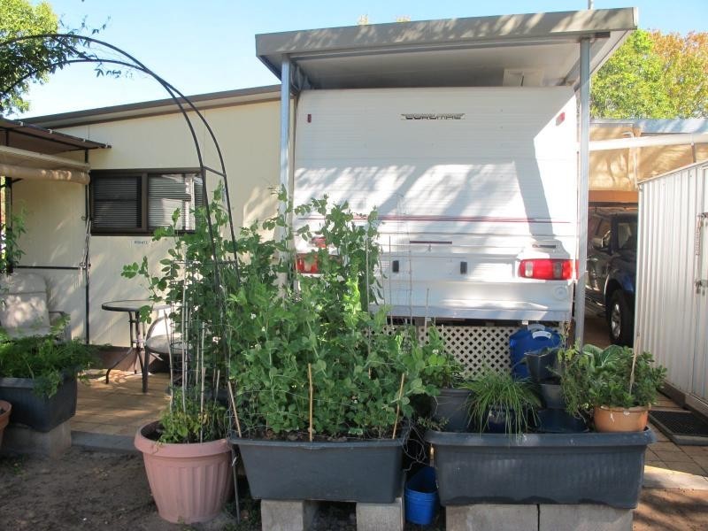 Villa 47/L47 Keera Road, Bingara NSW 2404