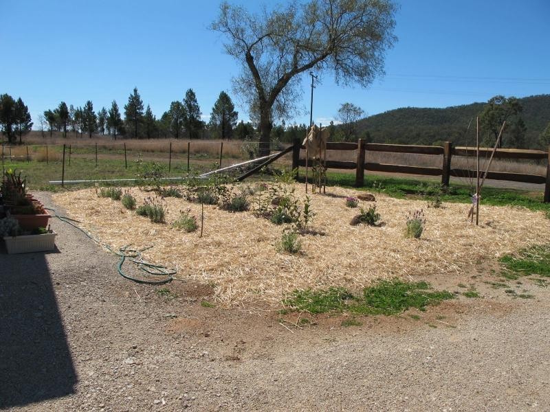 16 Bassett Street, Bingara NSW 2404