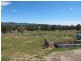 16 Bassett Street, Bingara NSW 2404