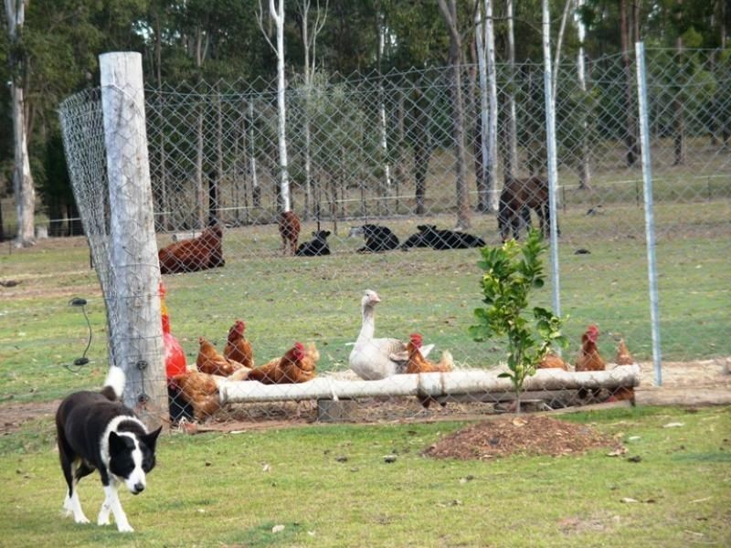 Mount Hallen QLD 4312