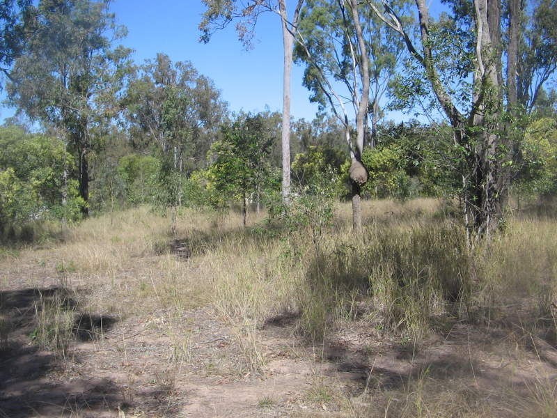 Kensington Grove QLD 4341