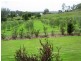 Summerholm QLD 4341