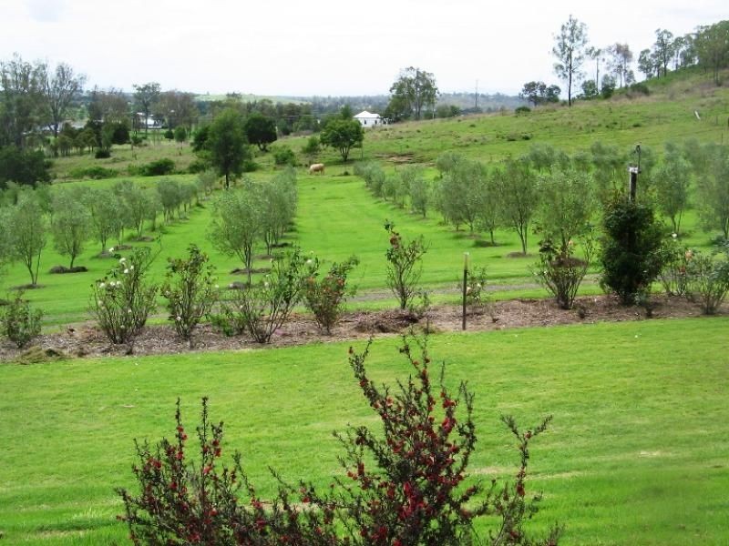 Summerholm QLD 4341