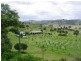 Summerholm QLD 4341