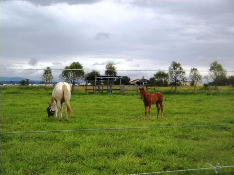 Crowley Vale QLD 4342