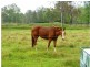 Coominya QLD 4311