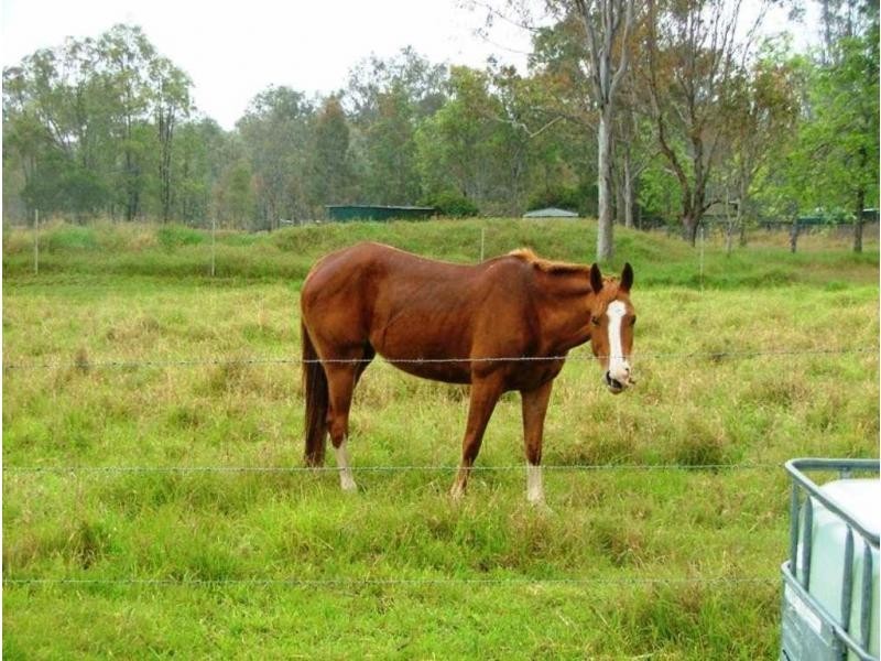 Coominya QLD 4311
