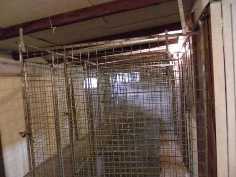 55 Haslingden Street, Lockyer Waters QLD 4311