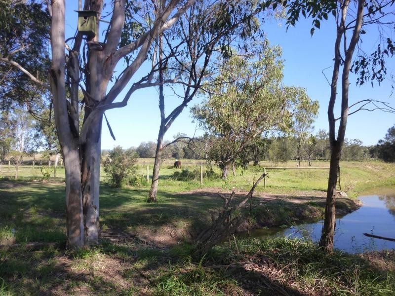 Mount Tarampa QLD 4311