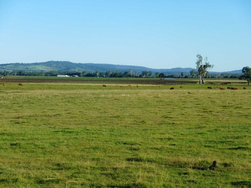 Mount Tarampa QLD 4311