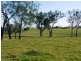 Mount Tarampa QLD 4311