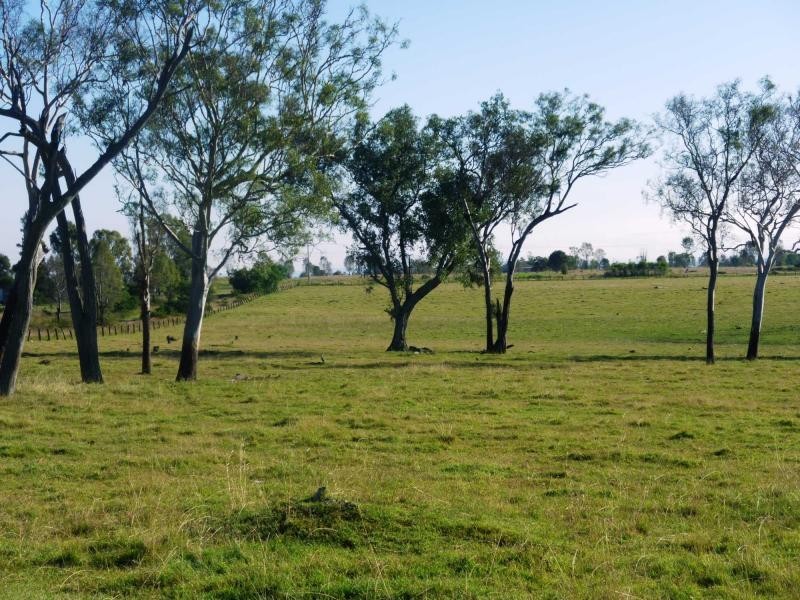 Mount Tarampa QLD 4311