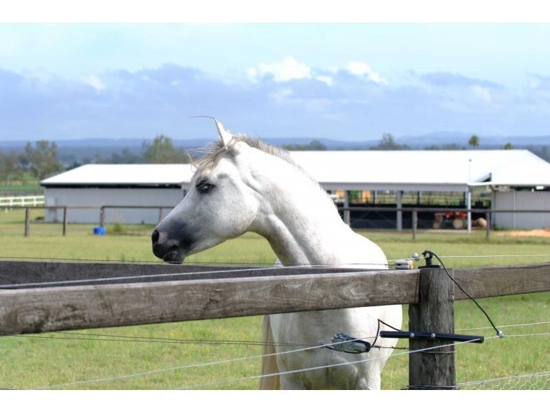 232 Rifle Range Road, Lowood QLD 4311