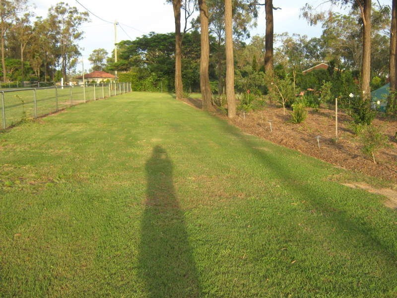 Regency Downs QLD 4341