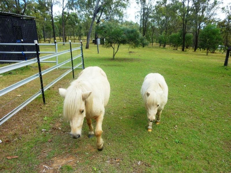 Regency Downs QLD 4341