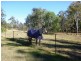 Tarampa QLD 4311