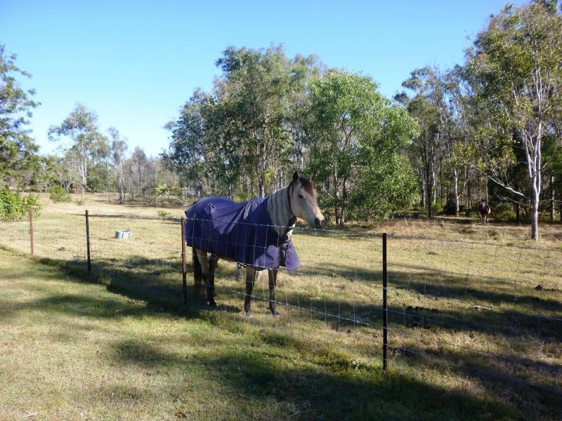 Tarampa QLD 4311