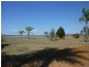 Mount Tarampa QLD 4311