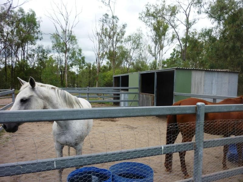 Brightview QLD 4311