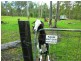 Regency Downs QLD 4341