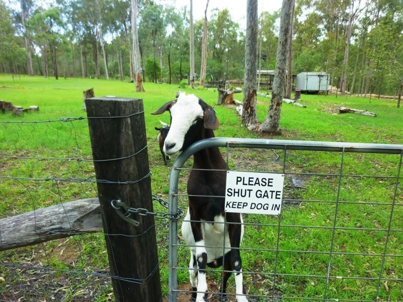 Regency Downs QLD 4341