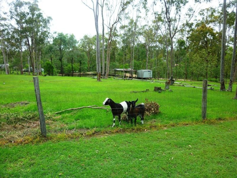 Regency Downs QLD 4341