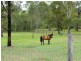 Kensington Grove QLD 4341