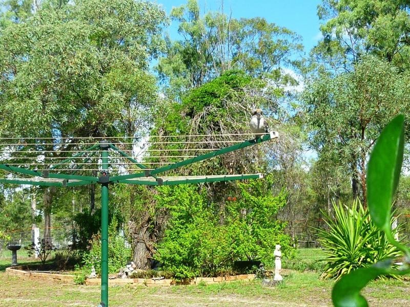 Regency Downs QLD 4341