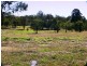Regency Downs QLD 4341