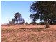 Regency Downs QLD 4341