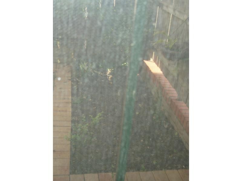 10/2-6 Darley Road, Leichhardt NSW 2040