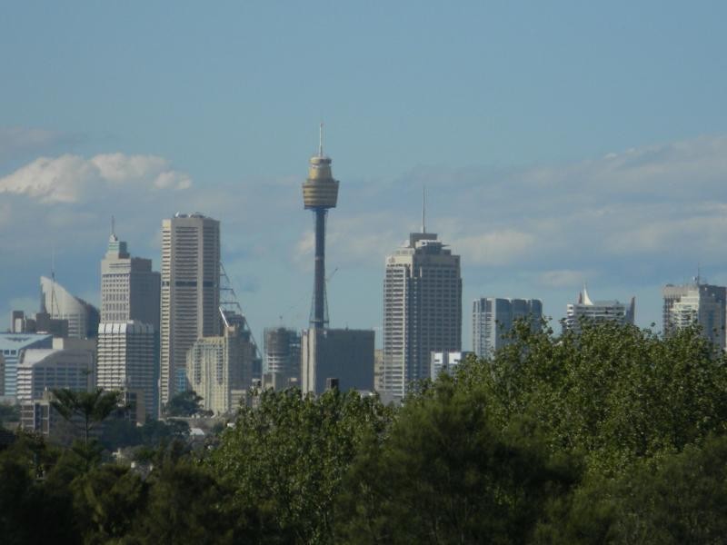 17 Bayview Avenue, Earlwood NSW 2206