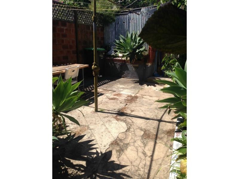 37 Rofe Street, Leichhardt NSW 2040