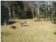 Yarras NSW 2446