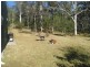Yarras NSW 2446