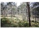 Yarras NSW 2446