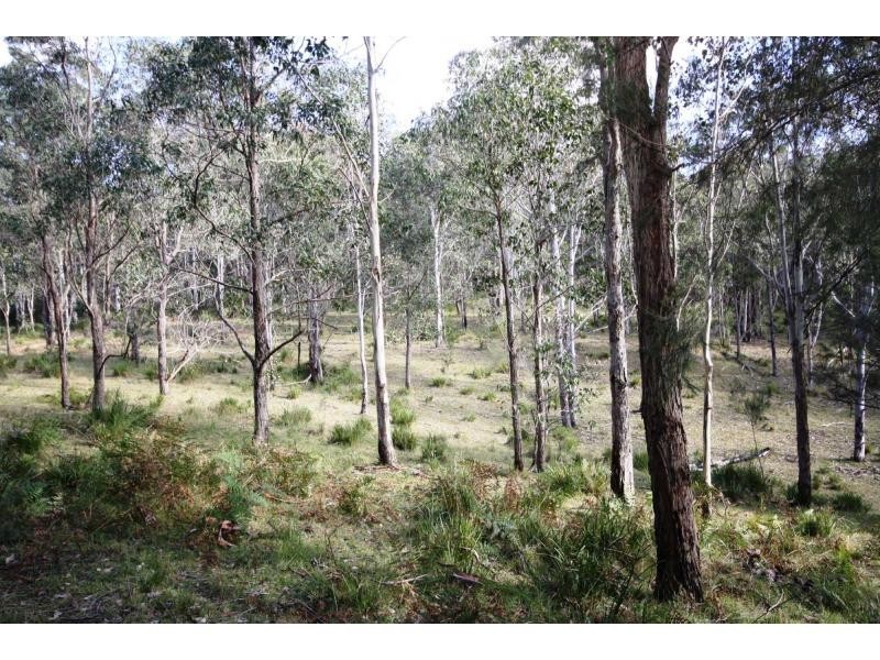 Yarras NSW 2446